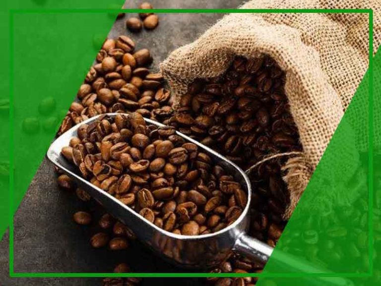 Berapa Harga Leptin Green Coffee 1000 Kopi Diet