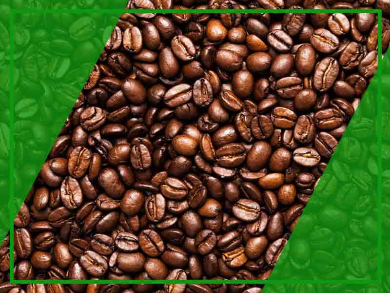 Dampak Negatif Green Coffee 1000 Leptin