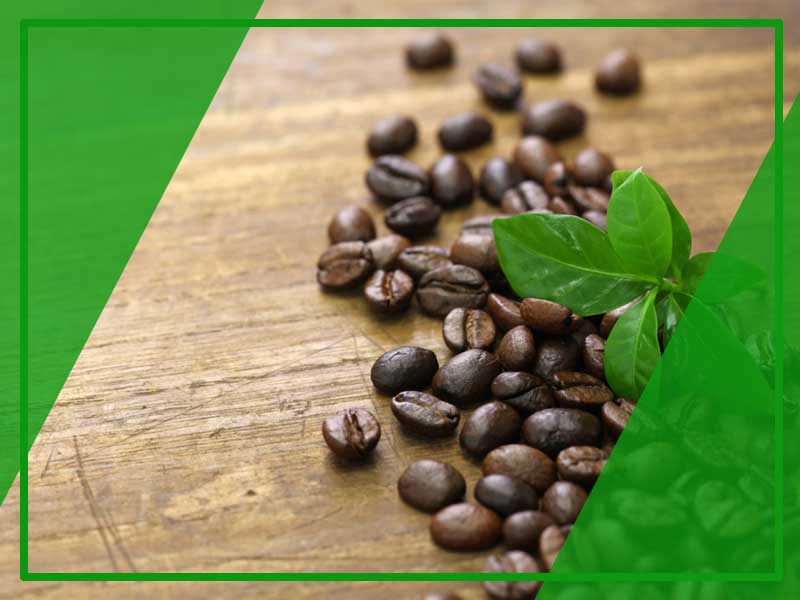 Berapa Harga Grosir Green Coffee 1000