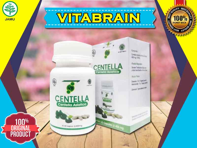 Manfaat Vitabrain Centella Untuk Daya Konsentrasi